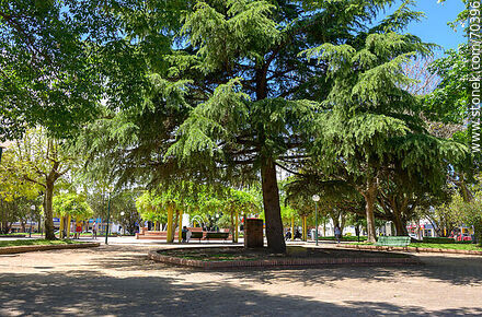 Plaza de Tala - Departamento de Canelones - URUGUAY. Foto No. 70396