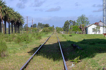 Vías de ferrocarril - Departamento de Canelones - URUGUAY. Foto No. 70638
