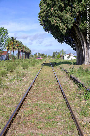 Vías de ferrocarril - Departamento de Canelones - URUGUAY. Foto No. 70637