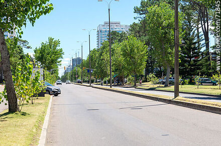 Avenida Roosevelt - Punta del Este y balnearios cercanos - URUGUAY. Foto No. 71845