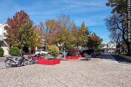 Plaza Artigas sobre la calle Sarandí - Departamento de Florida - URUGUAY. Foto No. 72449