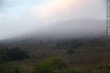 Mist in the countryside from the train to Rivera - Tacuarembo - URUGUAY. Photo #73441