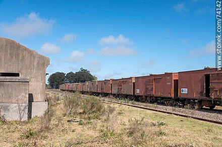 Freight cars at the station - Tacuarembo - URUGUAY. Photo #74142