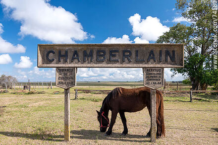 Horse grazing under one of the station signs - Tacuarembo - URUGUAY. Photo #74189