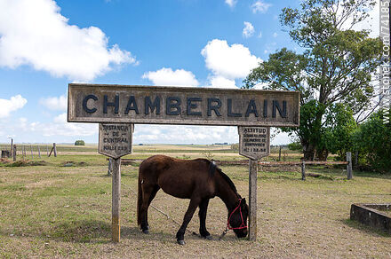 Horse grazing under one of the station signs - Tacuarembo - URUGUAY. Photo #74185