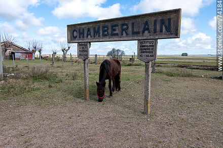 Horse grazing under one of the station signs - Tacuarembo - URUGUAY. Photo #74184