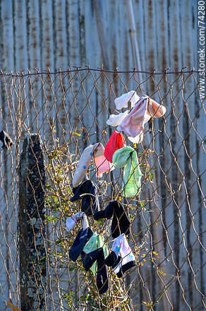 Socks drying in the sun on the wire fence at the train station - Department of Cerro Largo - URUGUAY. Photo #74280