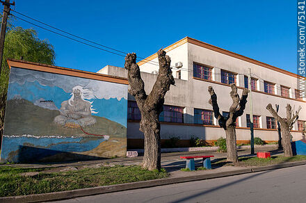 Escuela urbana No. 122 Bonifacio Alcain - Department of Canelones - URUGUAY. Photo #75141