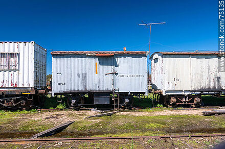 Estación de trenes Cazot en San Bautista. Antiguo vagón de madera de AFE - Departamento de Canelones - URUGUAY. Foto No. 75135