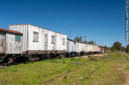 Estación de trenes Cazot en San Bautista. Fila de antiguos vagones de carga - Departamento de Canelones - URUGUAY. Foto No. 75132