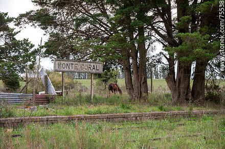Old Monte Coral train station. Station sign - Department of Florida - URUGUAY. Photo #75538