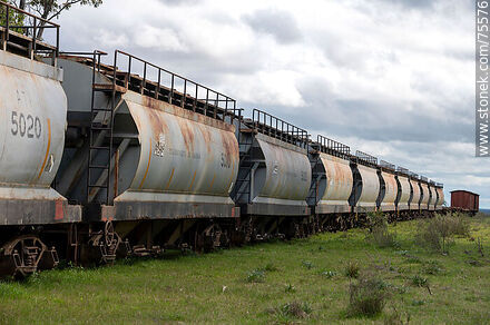 Former Mansavillagra train station. Line of grain freight cars - Department of Florida - URUGUAY. Photo #75576