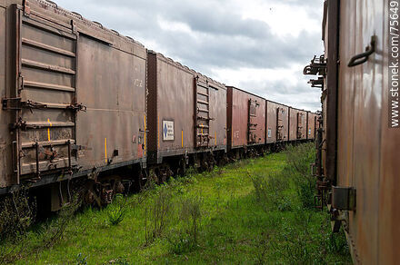 Rows of old freight cars - Department of Florida - URUGUAY. Photo #75649