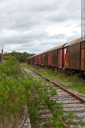 Estación de ferrocarril de Illescas - Departamento de Florida - URUGUAY. Foto No. 75639