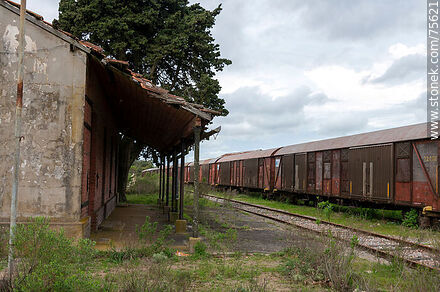 Freight wagons in front of Illescas railroad station - Department of Florida - URUGUAY. Photo #75621
