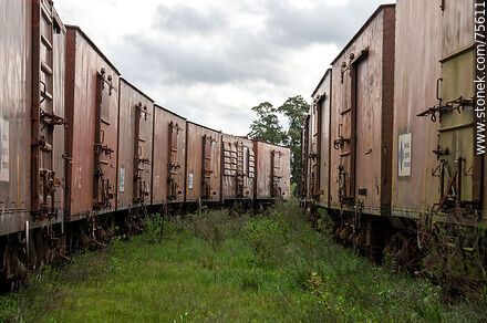 Estación de ferrocarril de Illescas. Vagones de carga - Departamento de Florida - URUGUAY. Foto No. 75611