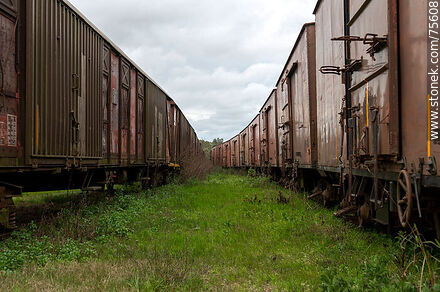 Estación de ferrocarril de Illescas. Vagones de carga - Departamento de Florida - URUGUAY. Foto No. 75608