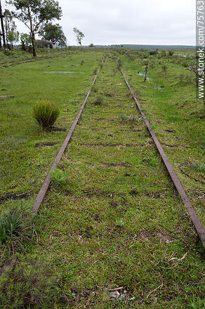 Former Elías Regules train station. Tracks without trains for decades - Durazno - URUGUAY. Photo #75763