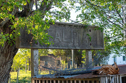 Talita train station. Station sign behind a chicken coop - Department of Florida - URUGUAY. Photo #76319