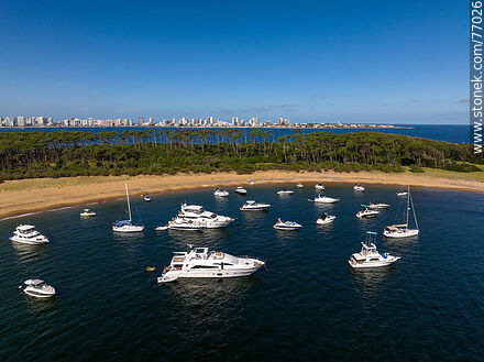 Aerial view of the bay to the west with its beach and boats. - Punta del Este and its near resorts - URUGUAY. Photo #77026