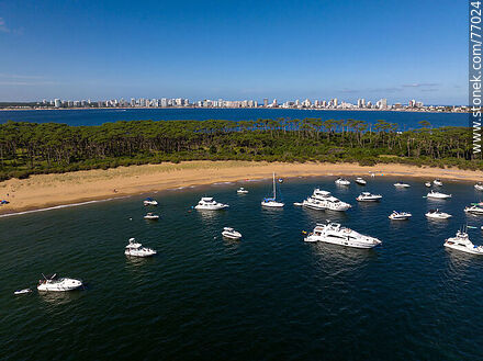 Aerial view of the bay to the west with its beach and boats. - Punta del Este and its near resorts - URUGUAY. Photo #77024