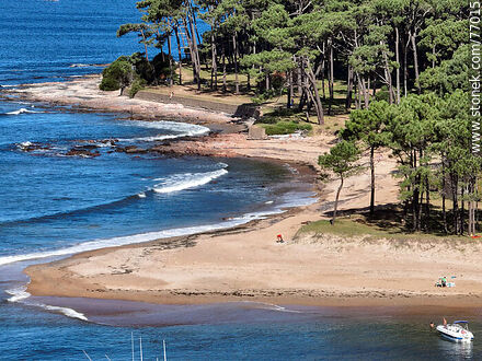 Aerial view of the east coast of the island - Punta del Este and its near resorts - URUGUAY. Photo #77015