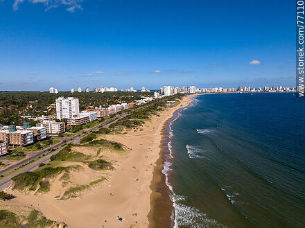 Aerial view of Playa Mansa in the afternoon - Punta del Este and its near resorts - URUGUAY. Photo #77110