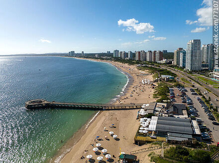 Aerial view of Playa Mansa in the afternoon - Punta del Este and its near resorts - URUGUAY. Photo #77107