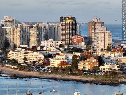 Aerial perspective of the towers of Punta del Este - Punta del Este and its near resorts - URUGUAY. Photo #77101
