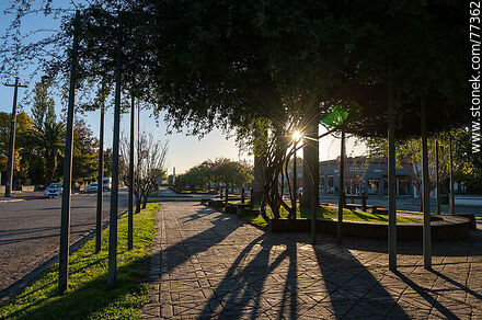 Puesta de sol en el bulevar Cardona - Florencio Sánchez - Departamento de Soriano - URUGUAY. Foto No. 77362