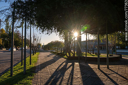 Sunset at Cardona Boulevard - Florencio Sánchez - Soriano - URUGUAY. Photo #77363