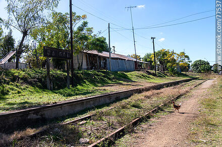 Lo que queda de la estación Raigón - Departamento de San José - URUGUAY. Foto No. 77537