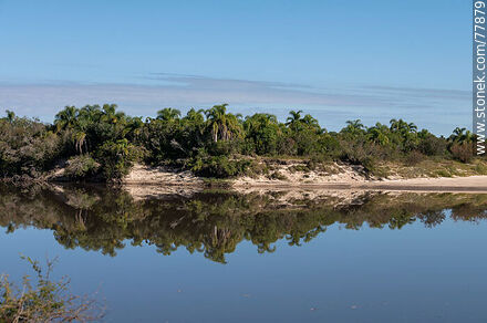 Cebollatí River, departmental boundary between Rocha and Treinta y Tres. - Department of Rocha - URUGUAY. Photo #77879