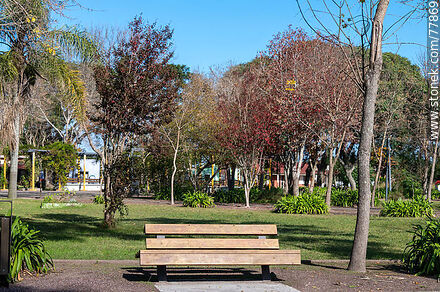 Plaza de Cebollatí - Departamento de Rocha - URUGUAY. Foto No. 77869