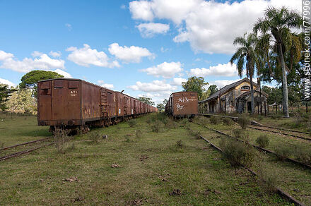 Former Julio M. Sanz railroad station. Rows of freight cars on secondary tracks. - Department of Treinta y Tres - URUGUAY. Photo #77996