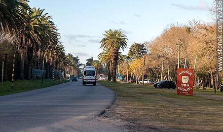 Parque de San Carlos. Detour José Frade Av. - Department of Maldonado - URUGUAY. Photo #79356