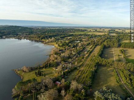 Vista aérea de campos sobre la Laguna del Sauce - Departamento de Maldonado - URUGUAY. Foto No. 79416