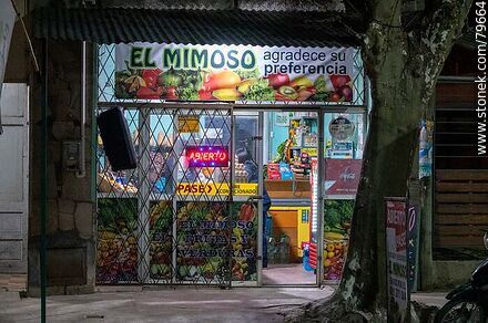 Minimercado - Departamento de Treinta y Tres - URUGUAY. Foto No. 79664