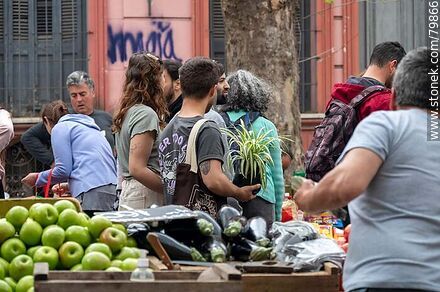 Eggplants, green apples and love bow - Department of Montevideo - URUGUAY. Photo #79866
