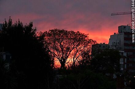 Reddish sunrise - Department of Montevideo - URUGUAY. Photo #81444