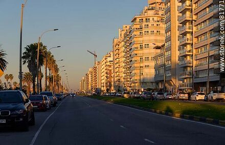 Rambla de Punta Carretas at dawn - Department of Montevideo - URUGUAY. Photo #81771