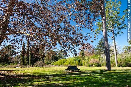 Quinta Capurro Park - Department of Canelones - URUGUAY. Photo #82130