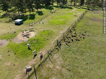 Aerial view of Tálice Ecopark - Flores - URUGUAY. Photo #83559