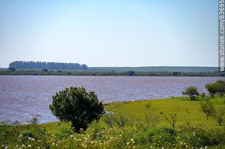 Coast on the Uruguay River - Department of Salto - URUGUAY. Photo #83695