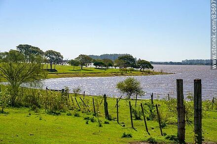 Costa sobre el río Uruguay - Departamento de Salto - URUGUAY. Foto No. 83697