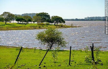 Coast of Belen on the Uruguay River - Department of Salto - URUGUAY. Photo #83701