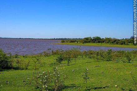 Costa de Belén sobre el río Uruguay - Departamento de Salto - URUGUAY. Foto No. 83705