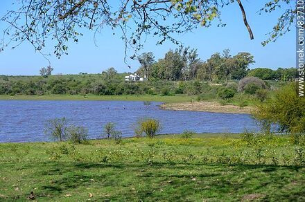 Costa sobre el río Uruguay - Departamento de Salto - URUGUAY. Foto No. 83710