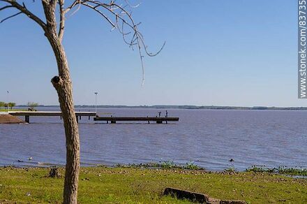Costa sobre el río Uruguay. Muelle - Departamento de Salto - URUGUAY. Foto No. 83735