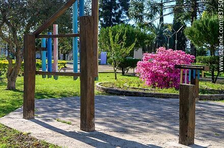 Plaza de Belén. Azaleas en flor - Departamento de Salto - URUGUAY. Foto No. 83750